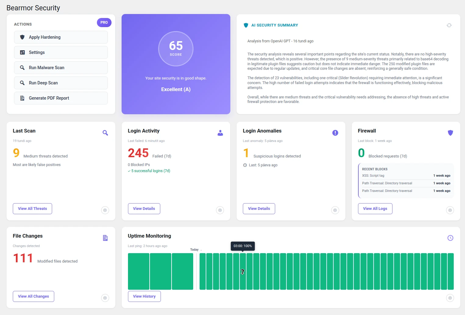 Bearmor Security Dashboard